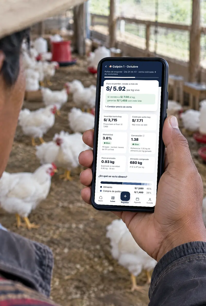 Criador sosteniendo su celular con la app CríaGana abierta en su galpón